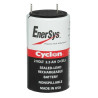 Enersys Cyclon D cell 2500mAh