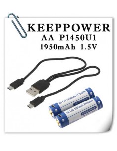 Keeppower P1450U1 battery...